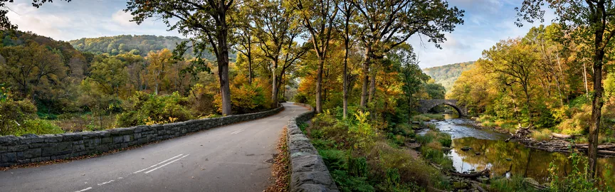 Hit the Road: Amazing Road Trips from Bronx
